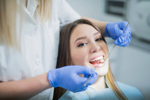  Princeton, IL Dental Services Pros